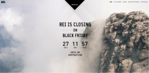 REI Black Friday Campaign