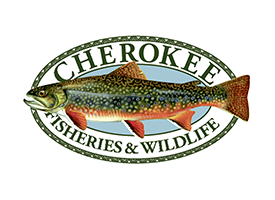 Cherokee Fisheries and Wildlife